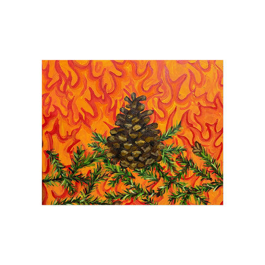 Lodge-Pole Pine Cone- Fine Art Posters