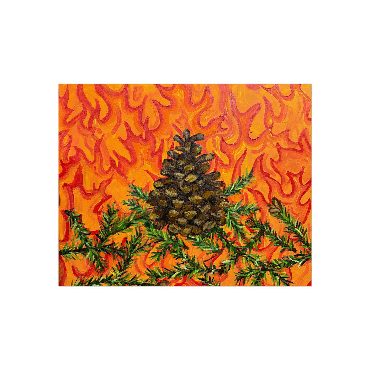 Lodge-Pole Pine Cone- Fine Art Posters
