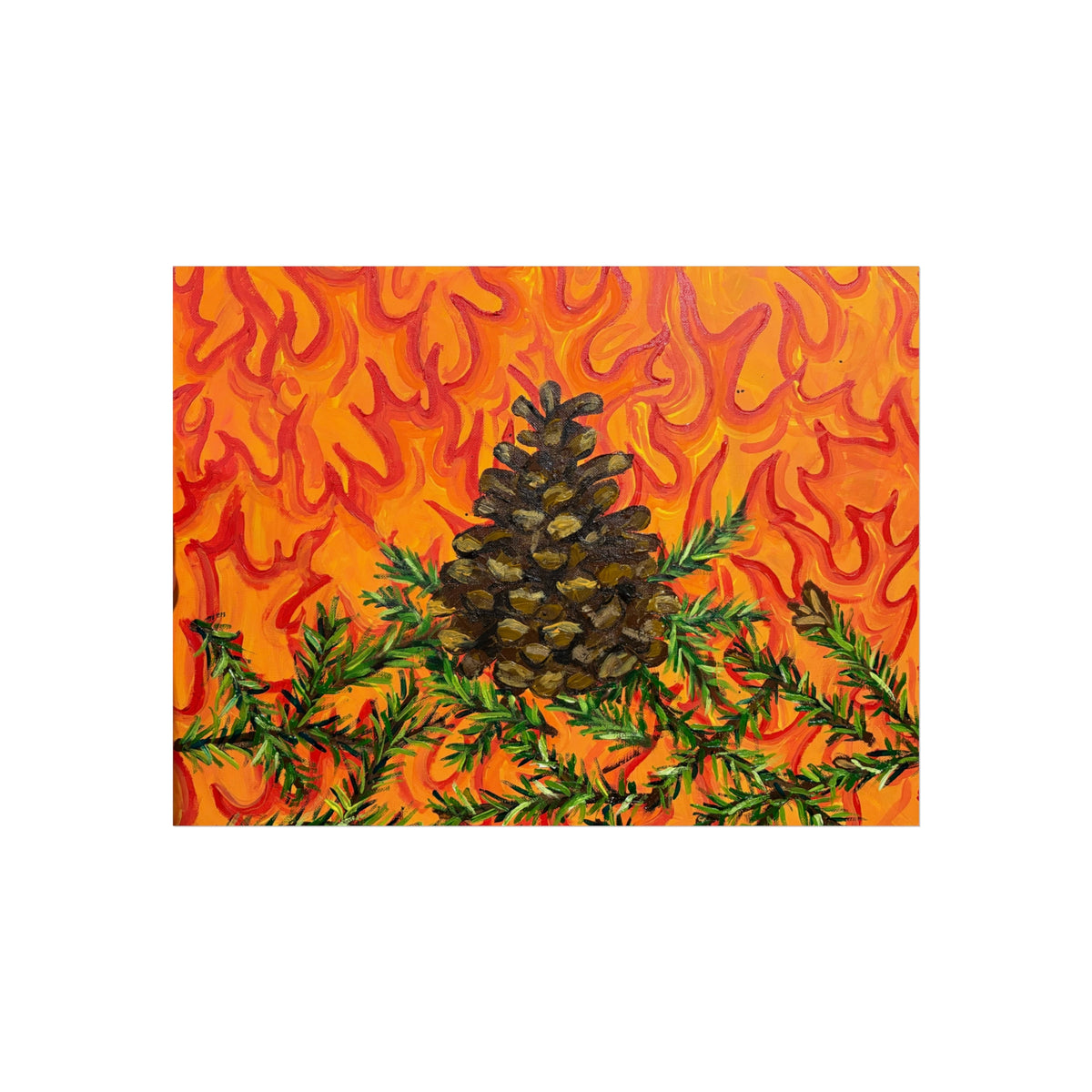 Lodge-Pole Pine Cone- Fine Art Posters