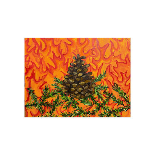 Lodge-Pole Pine Cone- Fine Art Posters