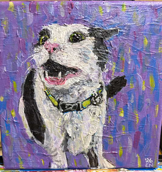 Custom Pet portraits