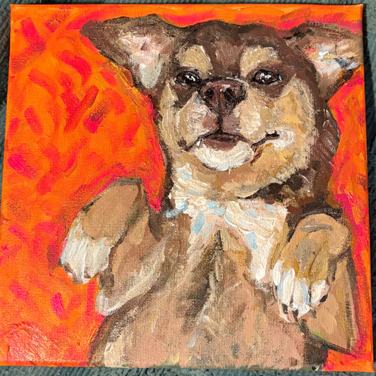 Custom Pet portraits